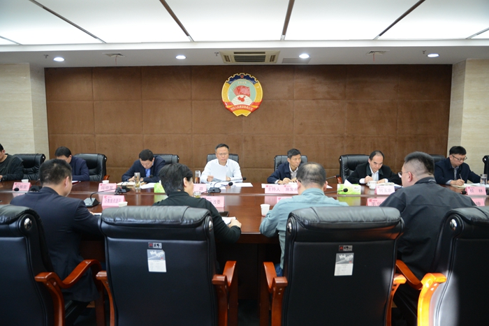 王政领衔督办重点提案